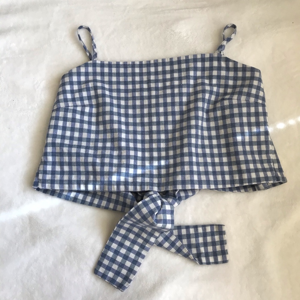 John Galt Blue and White Gingham Crop Top